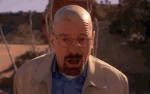 Walter White